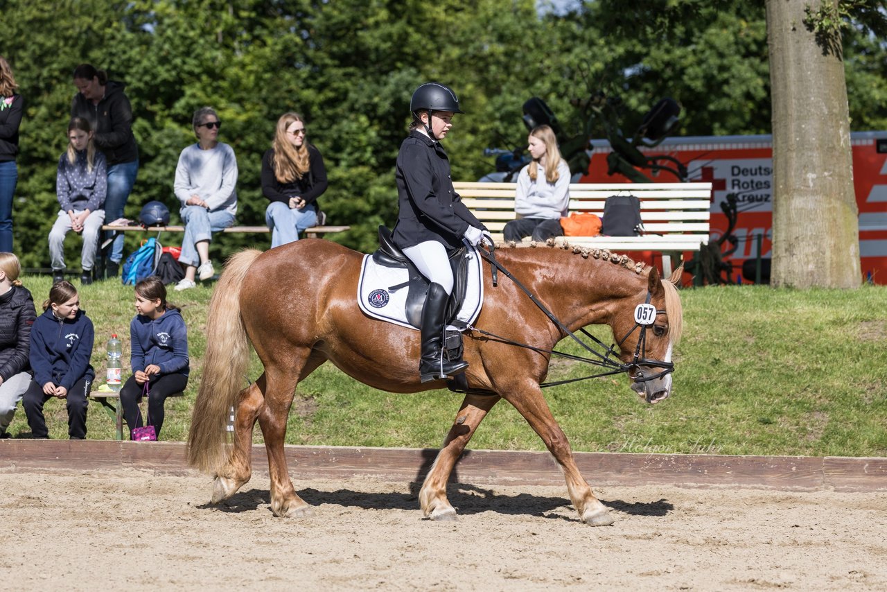 Bild 97 - Pony Akademie Turnier